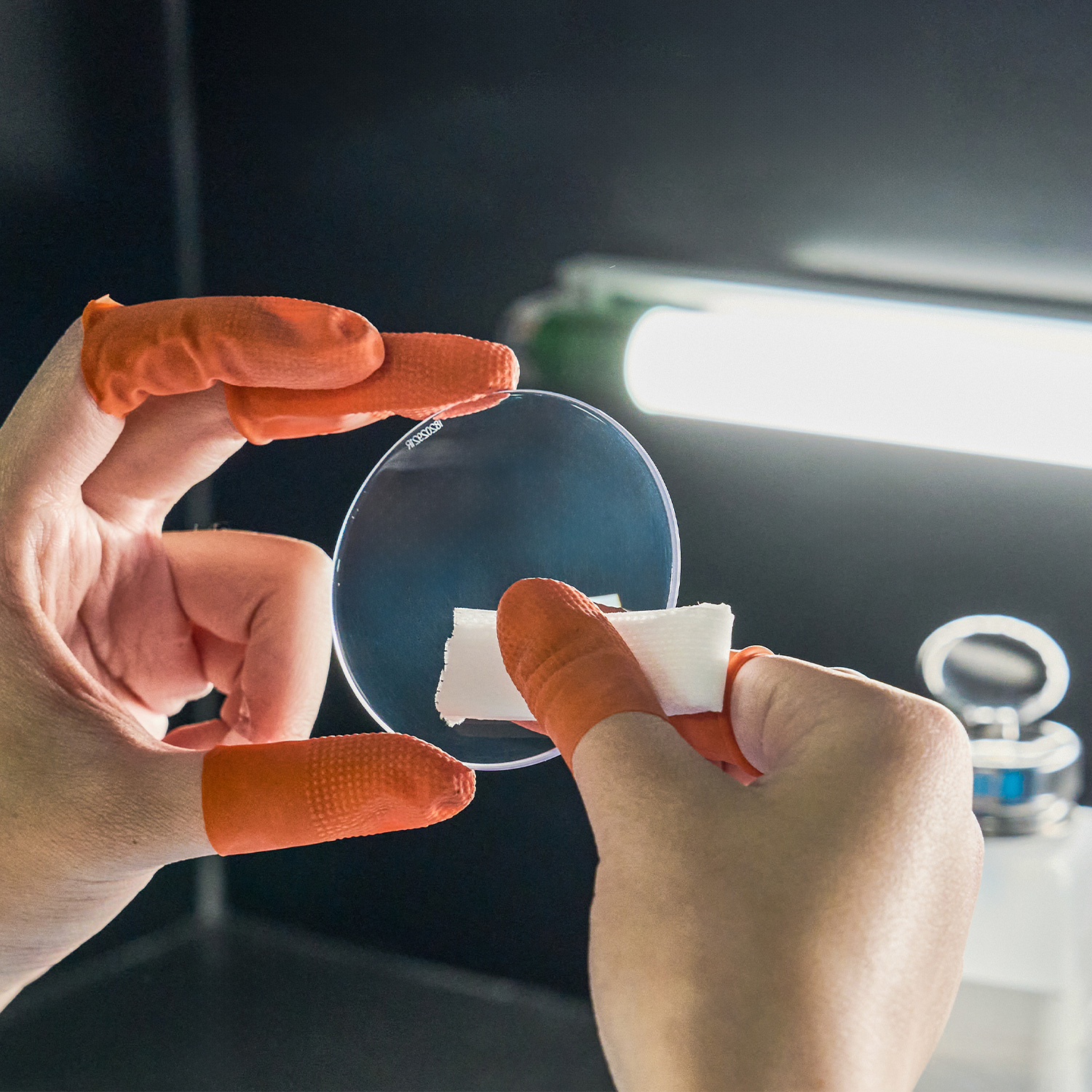 Photochromic Lenses