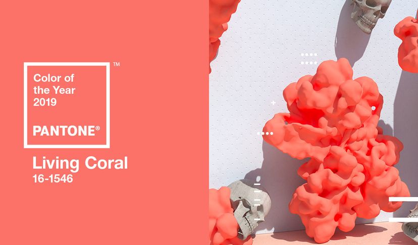 Living Coral: Embrace the Vibrant Trend
