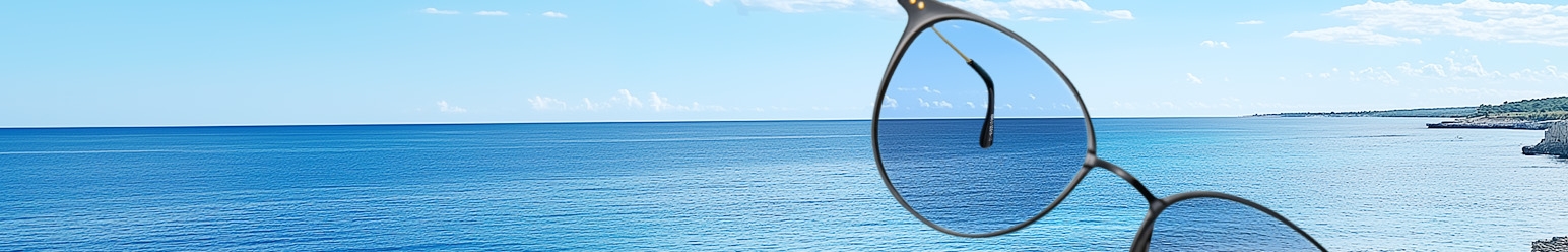 Polarized Sunglasses