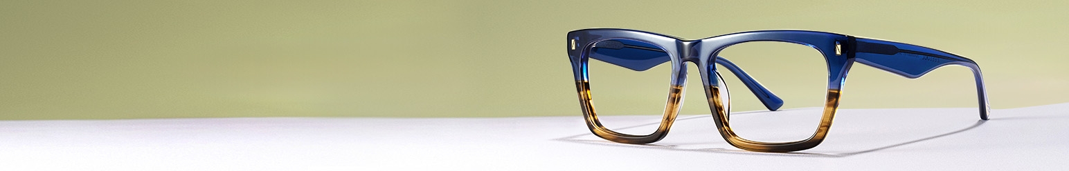eco specs frame glasses