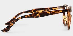 Laraine Cat Eye Tortoise Glasses3