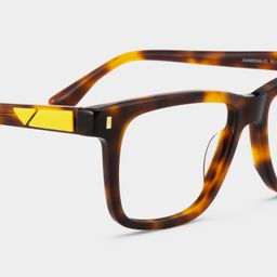Travis Tortoise Rectangle Glasses4