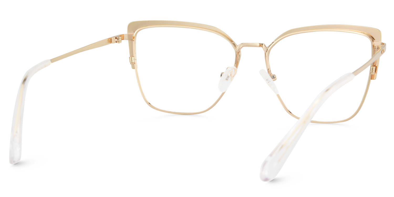 Rectangular Shape Eyeglasses Frames5