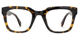 Schealer Square Tortoise Glasses0