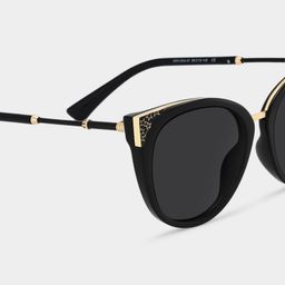 Dalton Cat Eye Black Sunglasses4