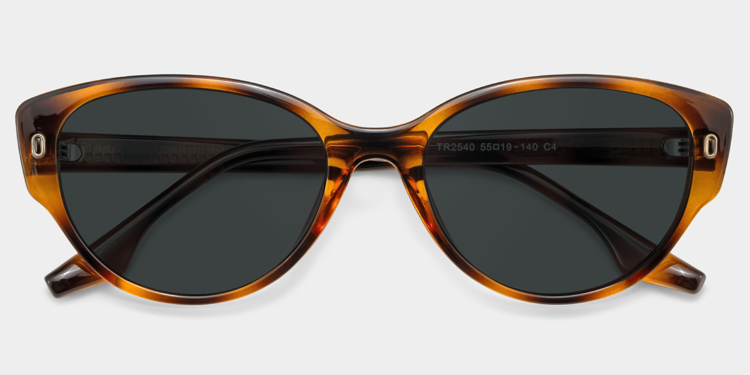 Livia Tortoise Frame Polarized Sunglasses with cat-eye Style Online | ZEELOOL UK1