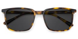 Aidan Tortoise Rectangle Sunglasses1