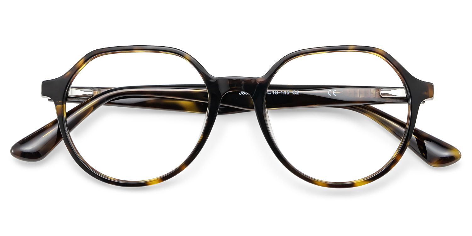 Hazel Geometric Tortoise Frame Eyeglasses for Man| ZEELOOL UK2