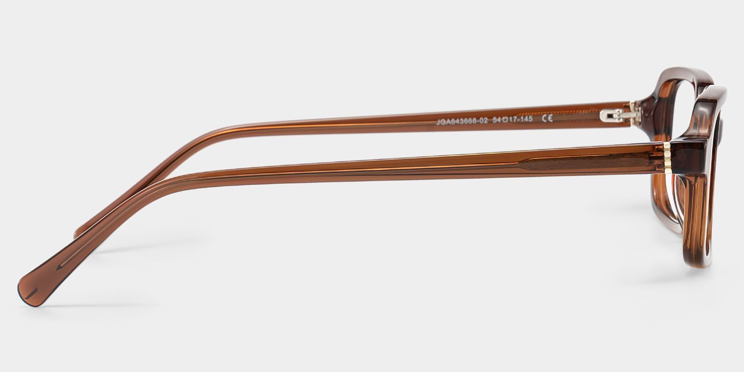 Danielle Walnut glasses - Brown Rectangle Frames | ZEELOOL5