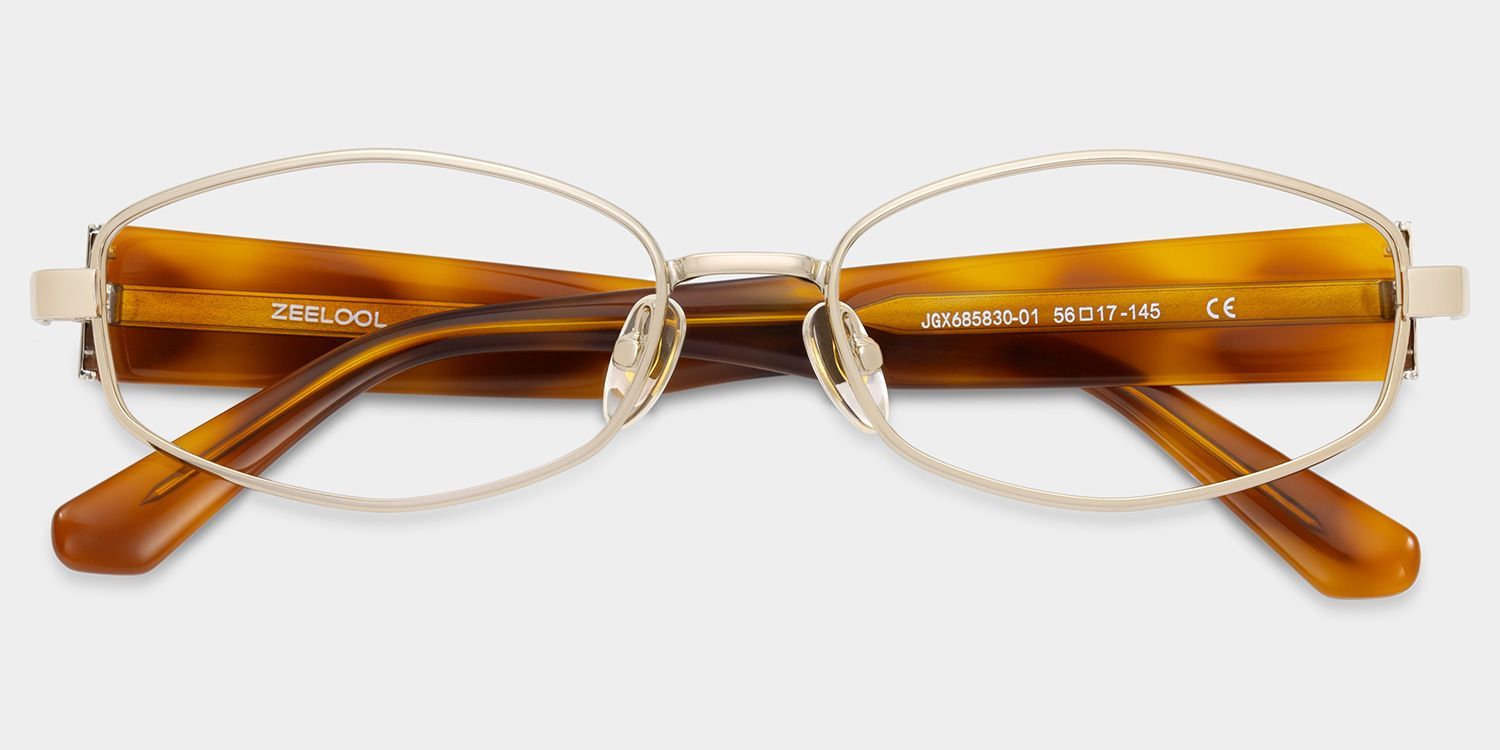 Dakota Warm Brown Tortoise Rectangle Glasses | ZEELOOL1