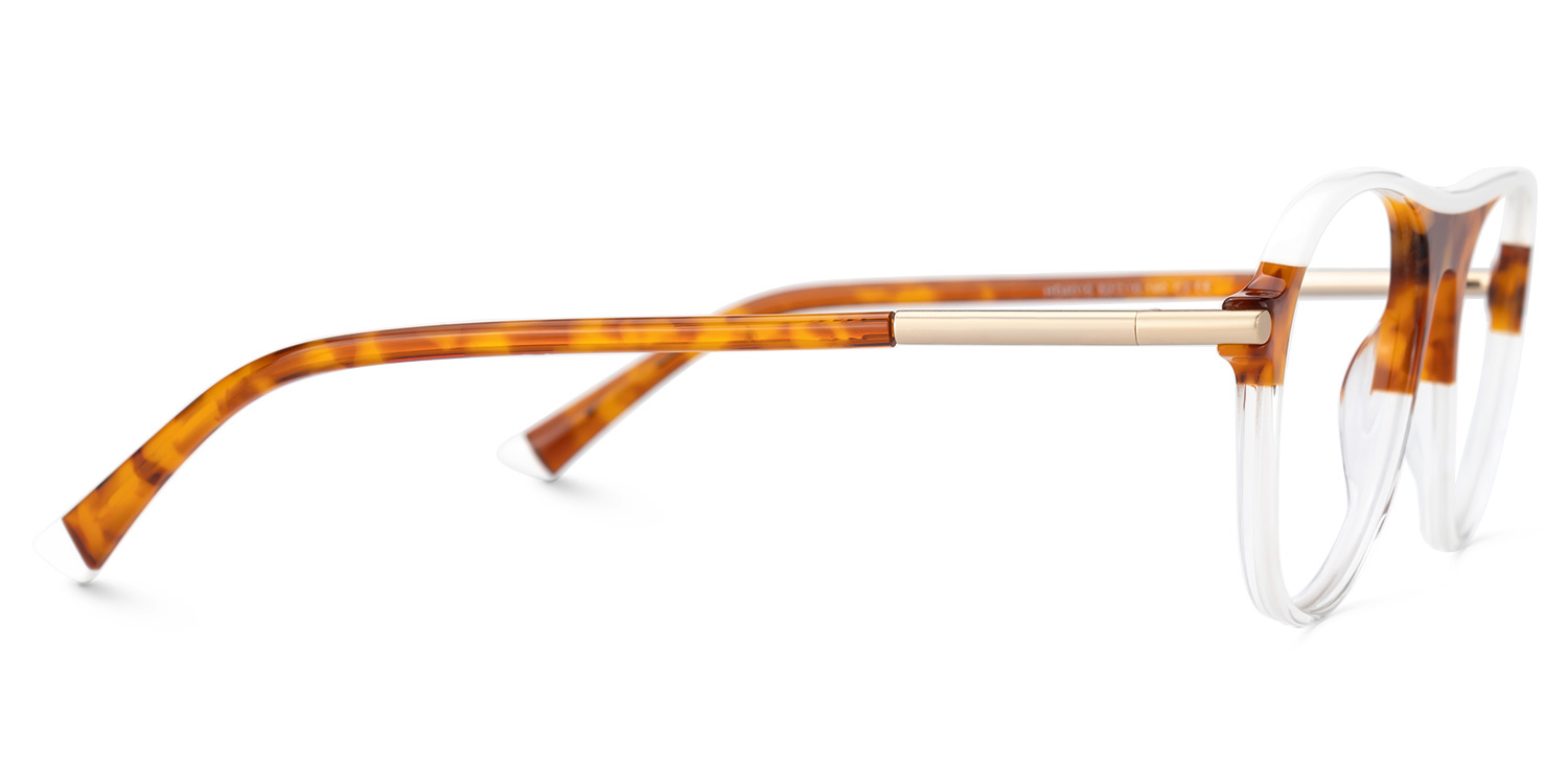Cisse Brown Thin Frame Eyeglasses | ZEELOOL UK2