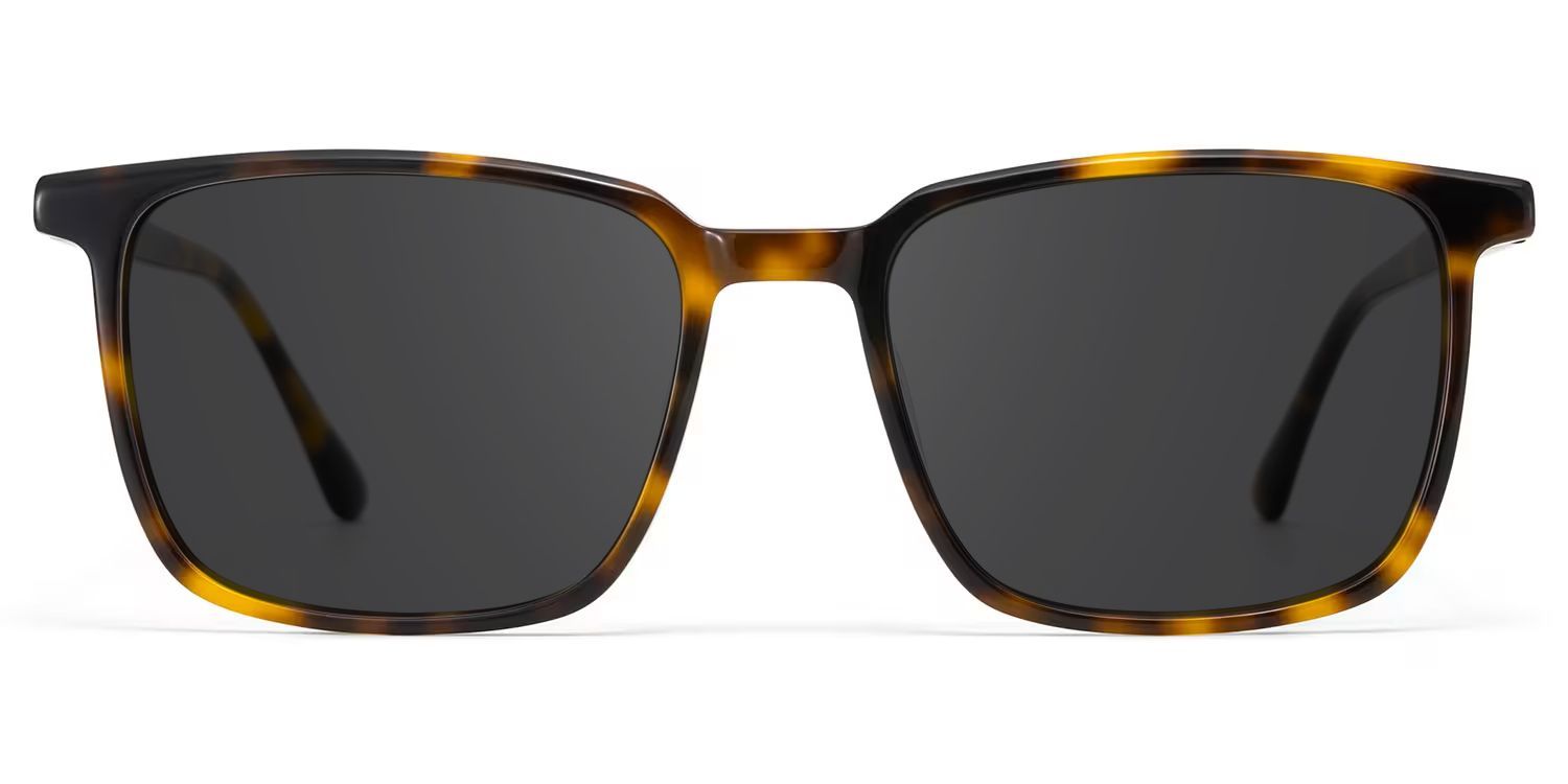 Aidan Rectangle Sunglasses with Acetate Tortoise Frames | ZEELOOL CA0