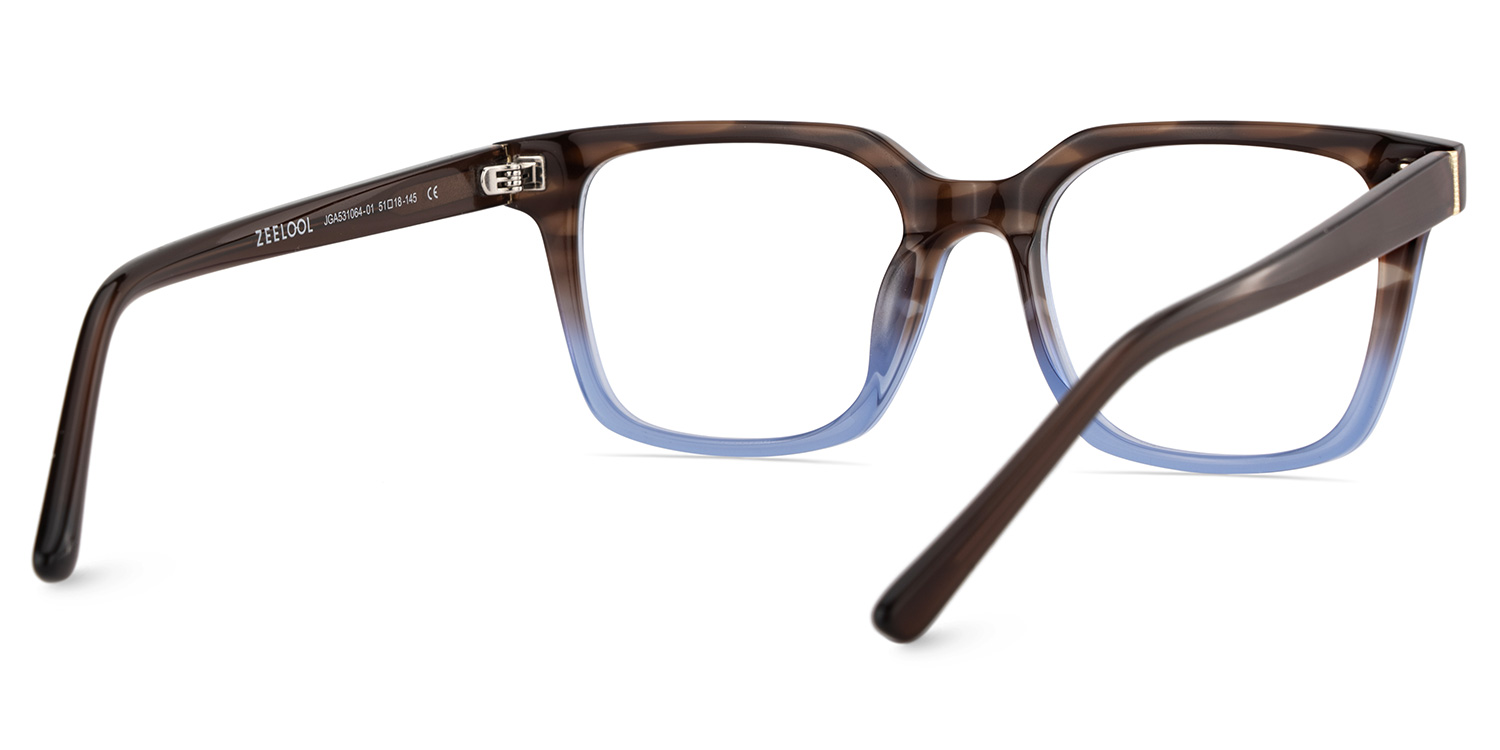 Pagel Brown Gradient Blue Thin Frame Eyeglasses | ZEELOOL UK5