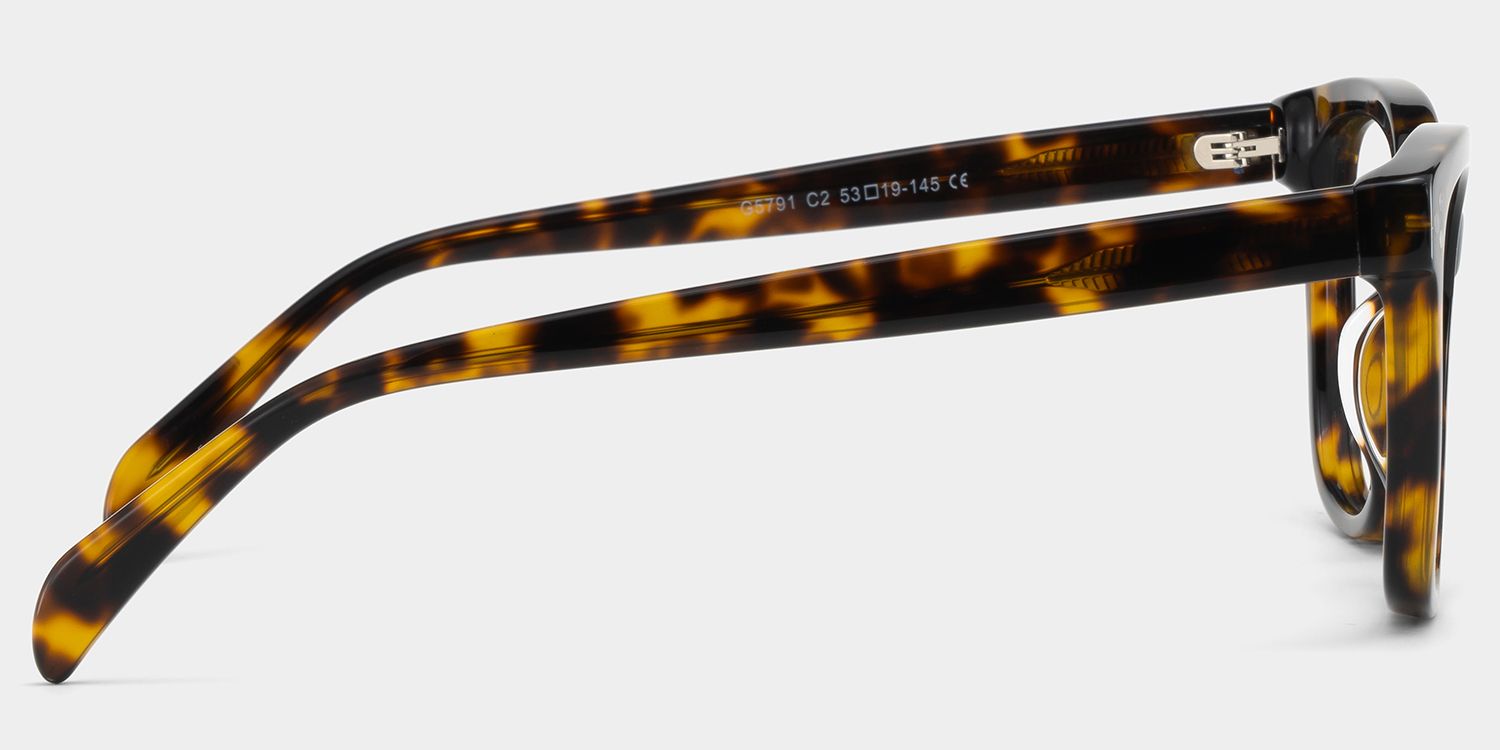 Scarlett Tortoise Frame Glasses with Square Frame Online | ZEELOOL4