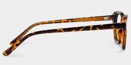 Amber Square Tortoise Glasses4