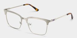 Cleo Browline Silver Glasses3