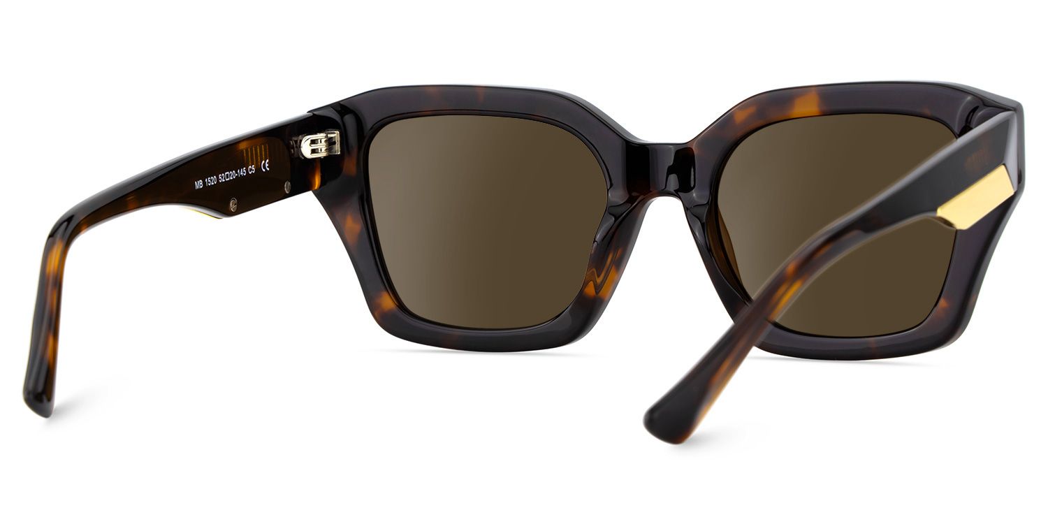 Rhea Tortoise Square Sunglasses to Frame Your Face | ZEELOOL UK4