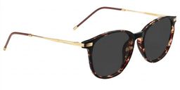 Greene Square Glasses3