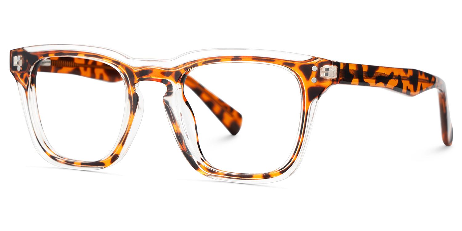Tr90 Eyeglasses Frames With Rectangle Shape and Tortoise Color3
