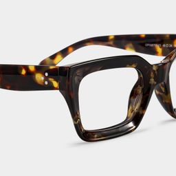 Nevaeh Tortoise Square Glasses4