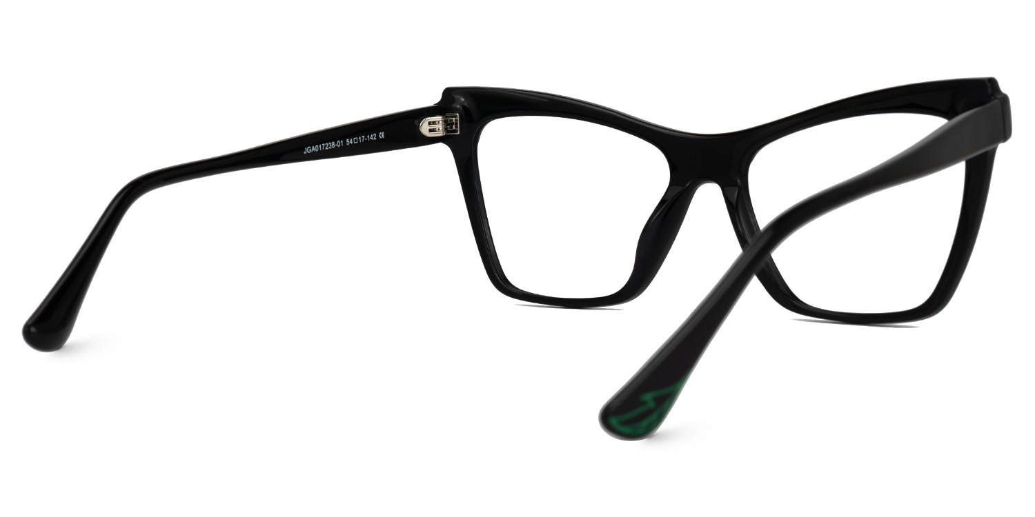 Bouck Cateye Black Glasses3