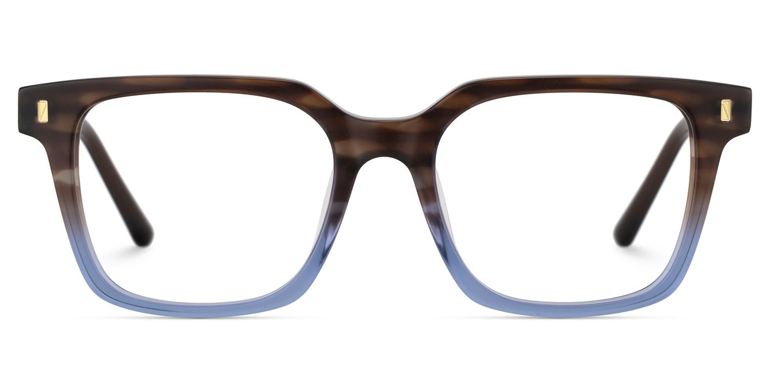 Pagel Brown Gradient Blue Thin Frame Eyeglasses | ZEELOOL UK1