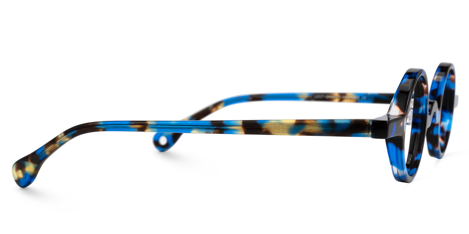 Truitt Round Blue-Tortoise Glasses2