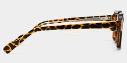 Joy Tortoise Geometric Glasses4