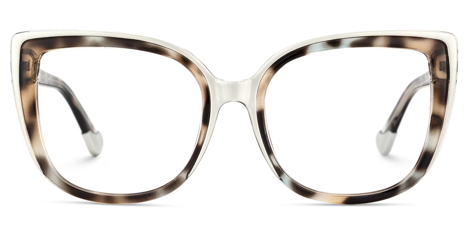 Large Frame Tortoise Shell Glasses For Women1