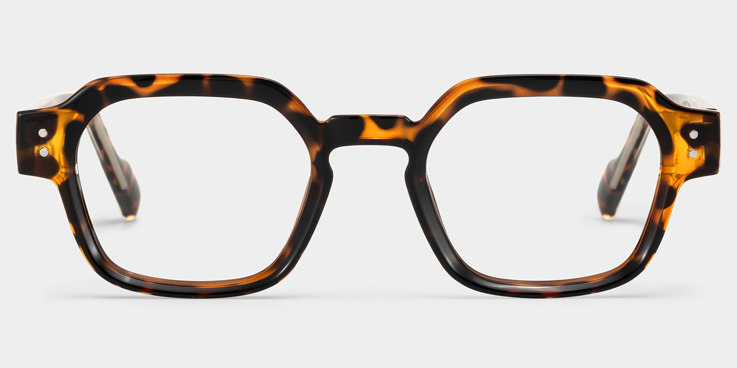 Joy Tortoise Frame Glasses with Geometric Frame Online | ZEELOOL1