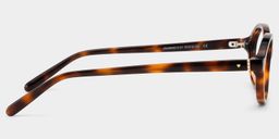 Everly Oval Tortoise Glasses7