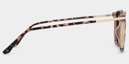 Rodz Tortoise Square Sunglasses3