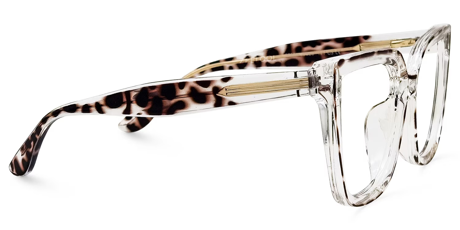 Mirta Square Tortoise Eyeglasses and Clear Frame2