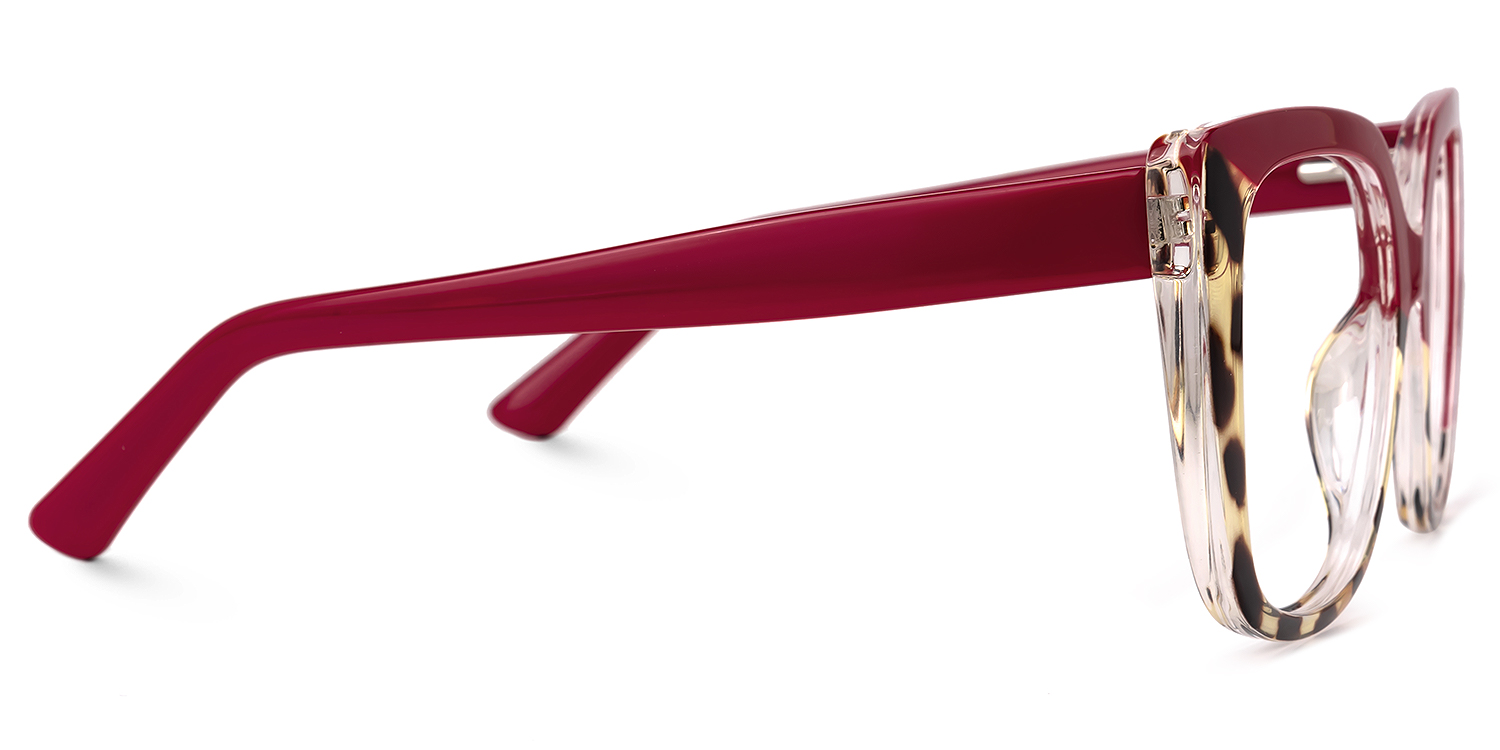 Square Carrero Two-Tone Eyeglasses and Glasses Frames3