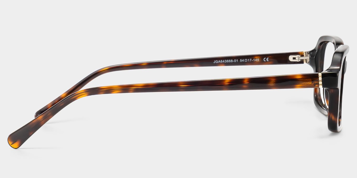 Danielle Matte Brown Tortoise Rectangle Glasses | ZEELOOL4