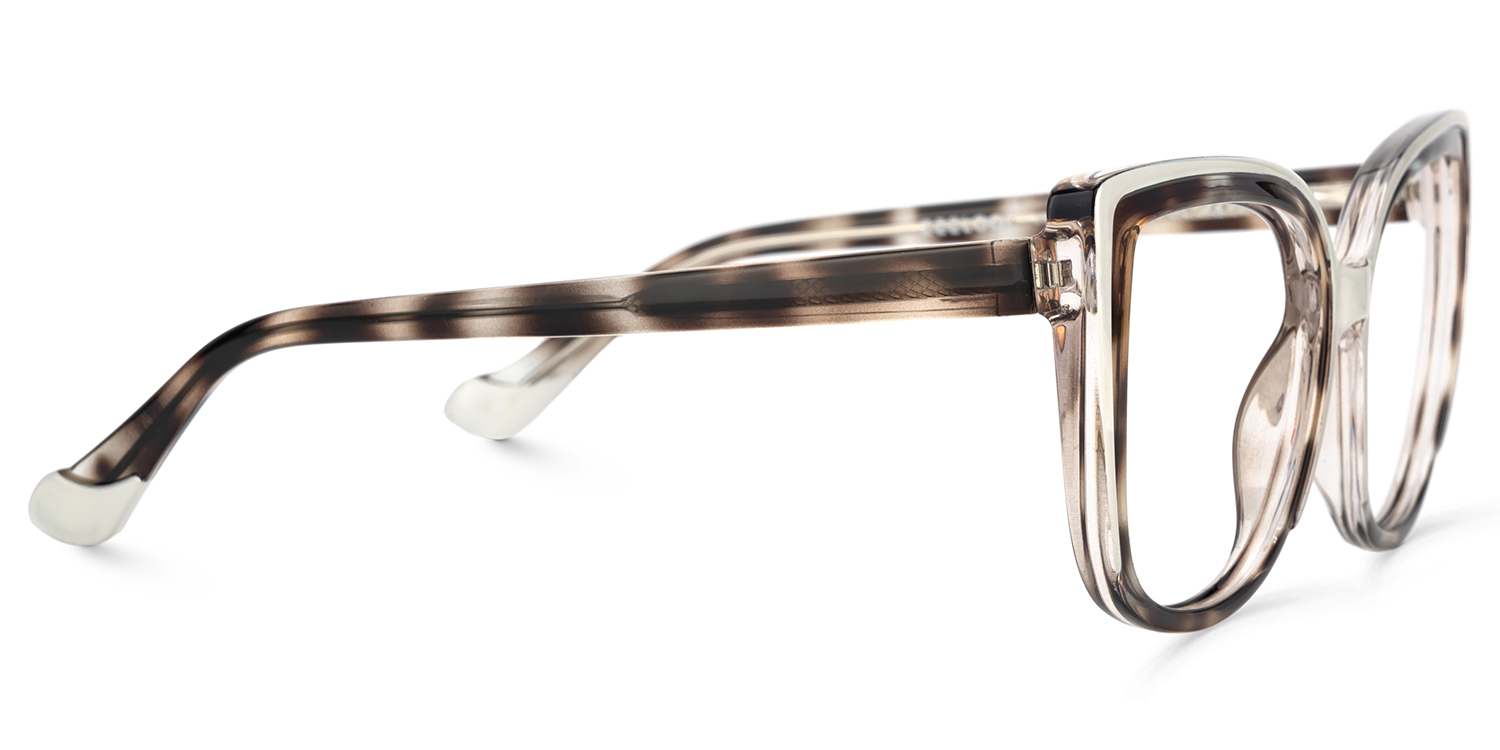 Large Frame Tortoise Shell Glasses For Women4