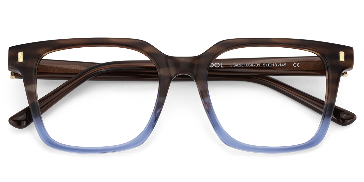 Pagel Brown Gradient Blue Thin Frame Eyeglasses | ZEELOOL UK2