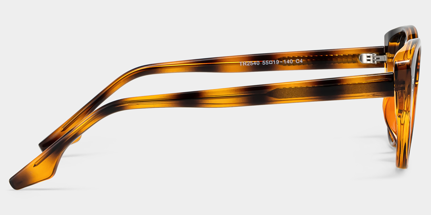 Livia Tortoise Frame Polarized Sunglasses with cat-eye Style Online | ZEELOOL UK3