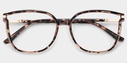 Rodz Tortoise Square Glasses1