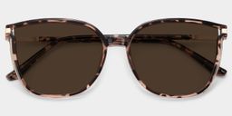 Rodz Tortoise Square Sunglasses1