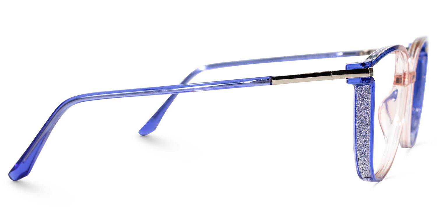 Rodz Eyeglasses and Designer Blue Color Frame2