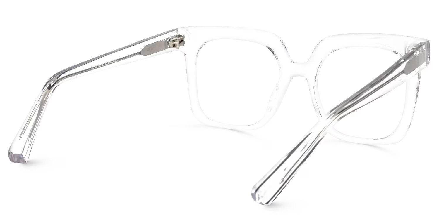 Dexter Square Clear Eyeglasses and Acetate Frames4
