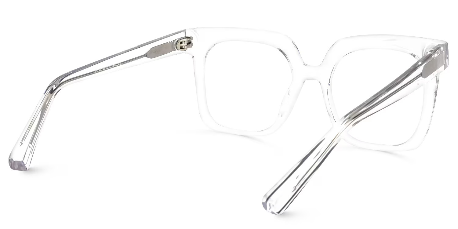 Dexter Square Crystal Eyeglasses and Acetate Frames4
