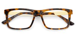 Osvaldo Rectangle Tortoise Glasses2