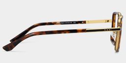 Hunter Square Tortoise Glasses4