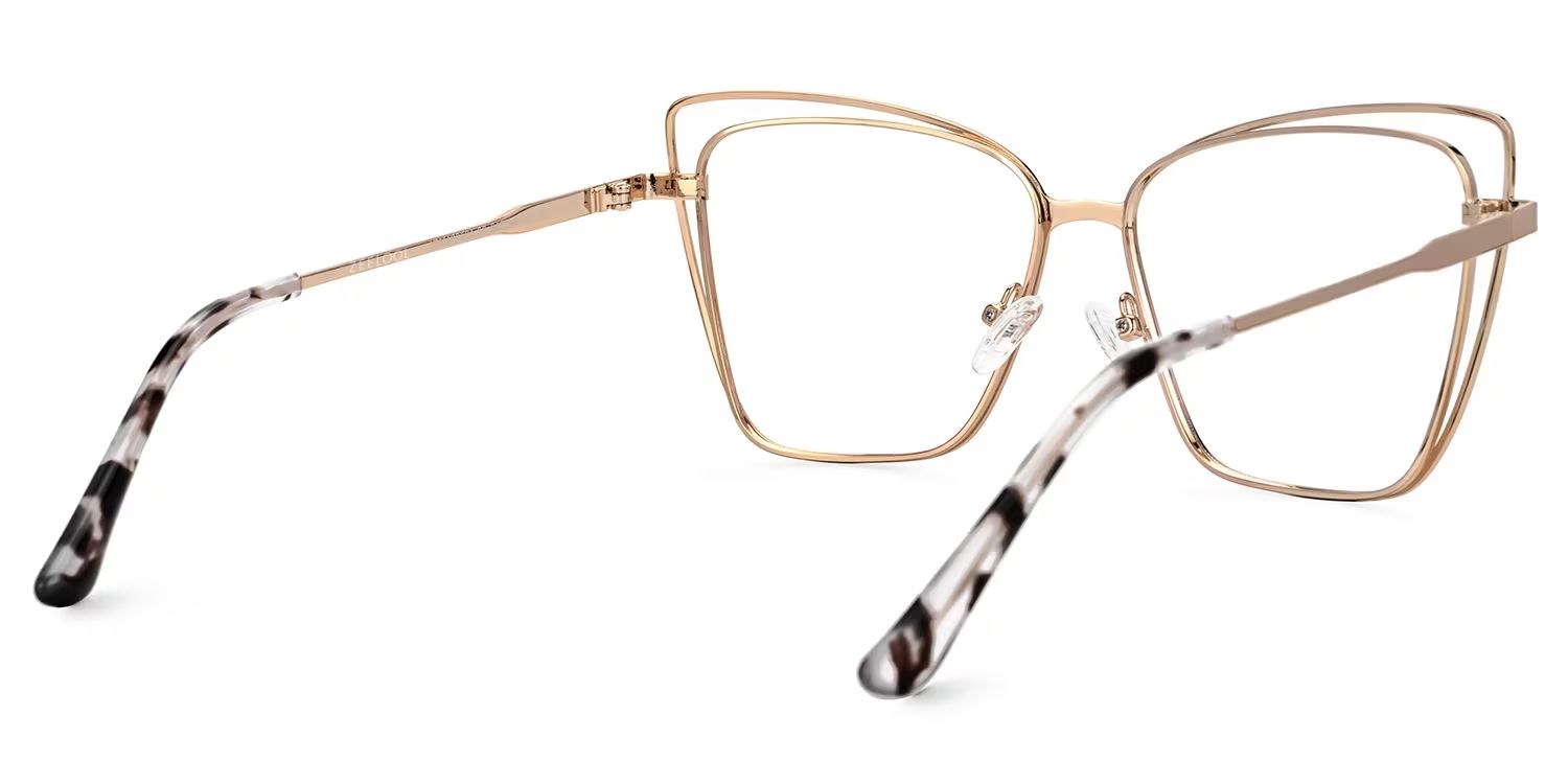 Designer Castillo Glasses in Metal Full-rim3