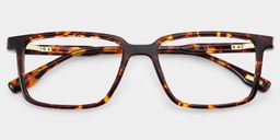 Cyrus Rectangle Tortoise Glasses1