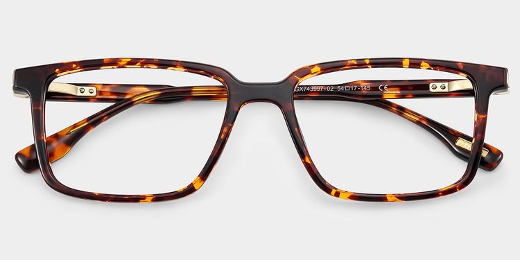 Cyrus Rectangle Tortoise Glasses