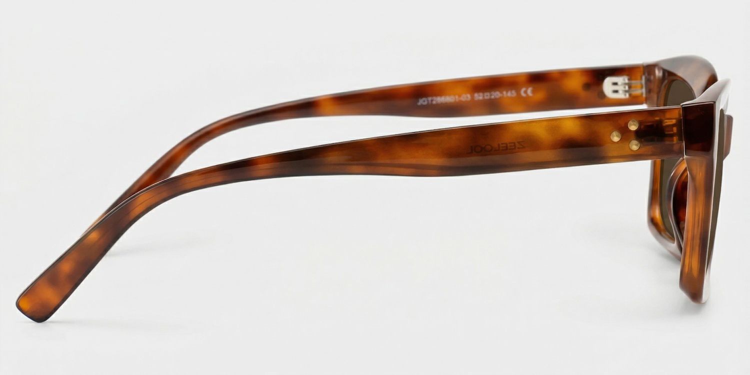 Marley Tortoise Eyeglasses with Rectangle Frames | ZEELOOL3