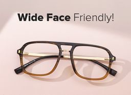 Kilworth Aviator Brown Glasses4